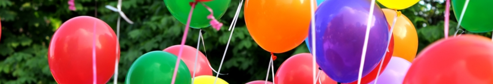 Oak Park Community Day